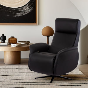 EZY COMFORT Reclining Lift Chair