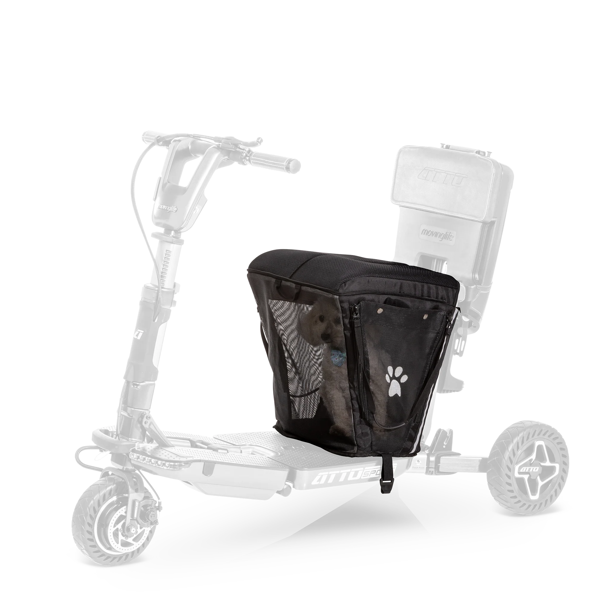 pet carrier &amp; cushion